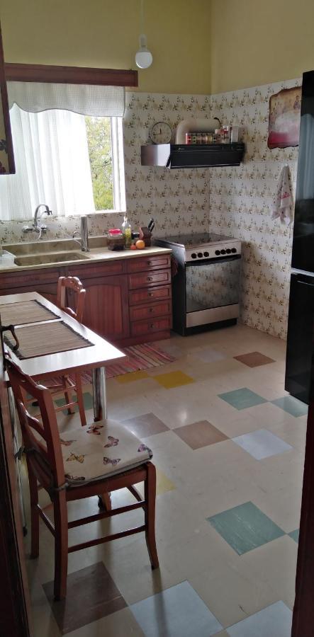 Ομορφο Διαμερισμα Με Μεγαλες Βεραντες Daire Atina Dış mekan fotoğraf